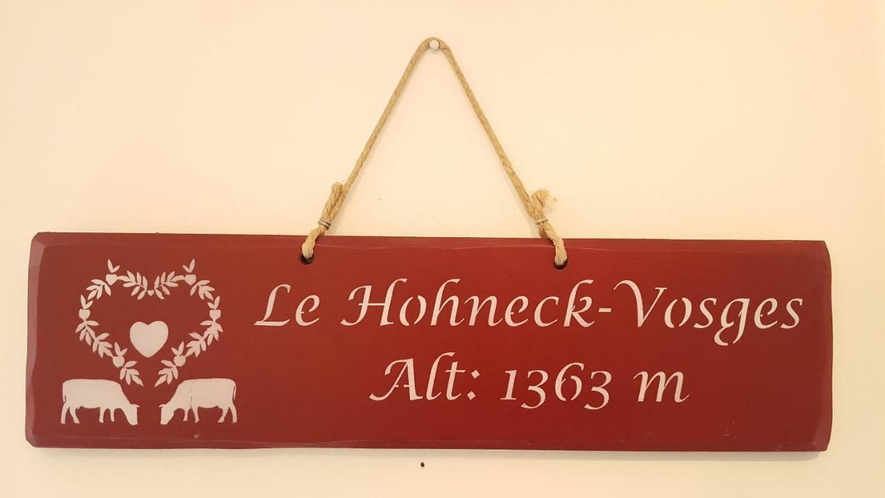 Gîte Noa Xonrupt-Longemer Extérieur photo